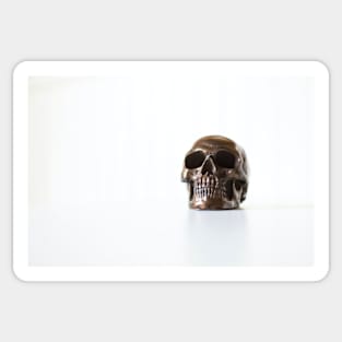 Peekaboo Skull Sticker